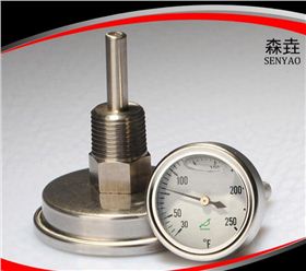 充油雙金屬溫度計