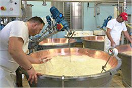 奶酪用數(shù)字顯示電子溫度計成功案例