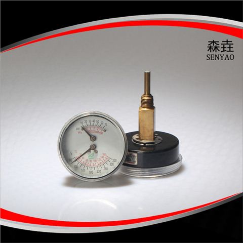 溫度壓力一體表