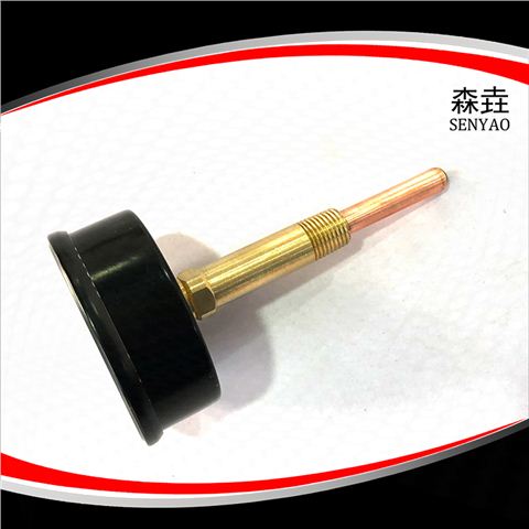 加長(zhǎng)型接頭溫度壓力一體表