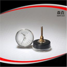 溫度壓力一體表 型號(hào)：WHT-1B