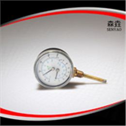 溫度壓力一體表 型號(hào)：WHT-1I