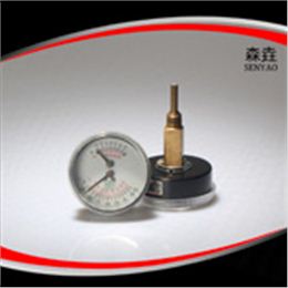 溫度壓力一體表 型號(hào)：WHT-2B