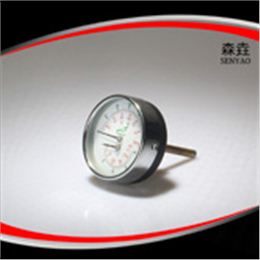 溫度壓力一體表  型號(hào)：WHT-13