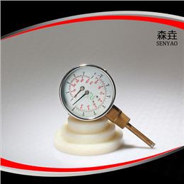 溫度壓力一體表  型號(hào)：WHT-13I