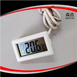 方形電子溫度計(jì) 型號(hào)：DT100S