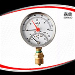 溫度壓力一體表  型號(hào)：WHT-20I