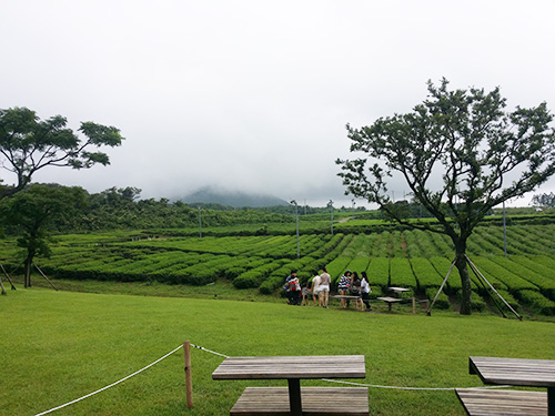 溫度計(jì)幫你泡一壺好茶