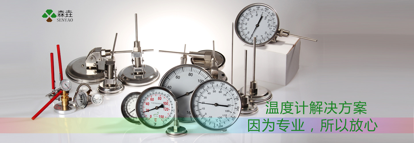 上海溫度計(jì)專業(yè)生產(chǎn)廠家.jpg