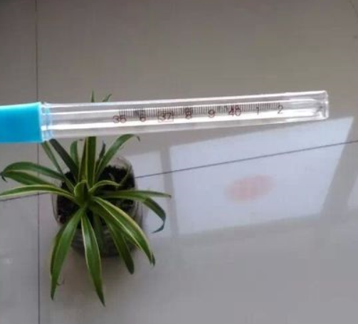 體溫計(jì)在使用中需要注意哪些問題呢?