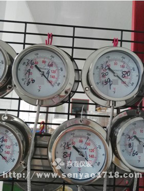 壓力式溫度計檢驗規(guī)程01.JPG