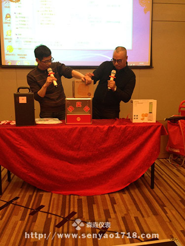 2017年森垚儀表春節(jié)晚會 (2).jpg