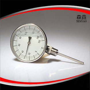 耐震型雙金屬溫度計(jì).jpg