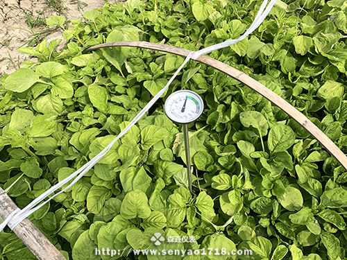 如何測量月球南極土壤的溫度呢？