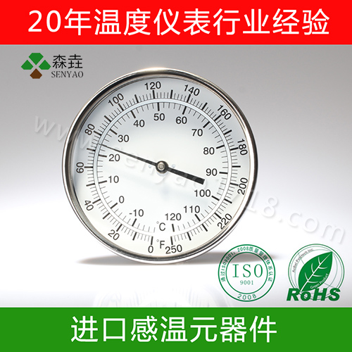 5&rdquo;軸向雙金屬溫度計(jì)T500C.jpg