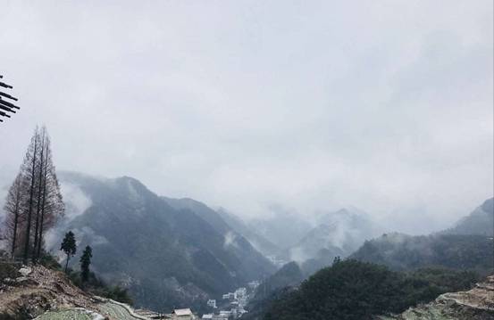 森垚儀表臨安行-2019年春節(jié)天目山登高 (2).jpg