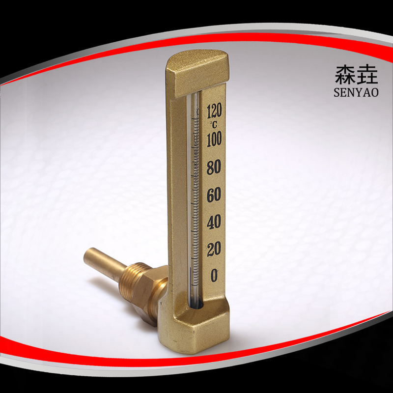 SKA溫度計(jì)介紹