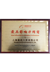 榮獲“最具影響力網(wǎng)商”稱號(hào)