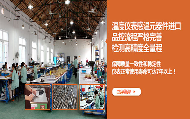 溫度儀表感溫元器件進口  檢測高精度全量程