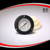 軸向帶法蘭壓力表 型號(hào)：EPG200DHFPG