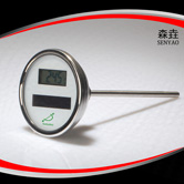 軸向太陽能電子溫度計(jì) 型號：DSTT300