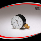 徑向微壓表 型號(hào)：221LVDAN